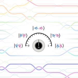 New class of adjustable anyons discovered