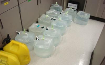 Plastic Containers Filled with Seawater from the Pacific Central Ocean