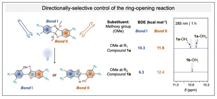 Photoisomerization pathways of asymmetric DHB derivatives