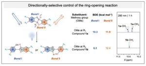 Photoisomerization pathways of asymmetric DHB derivatives