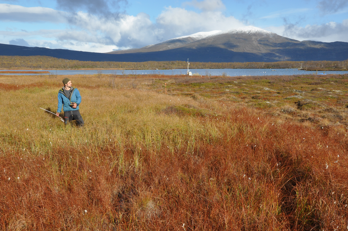 A typical landscape in northern Sweden