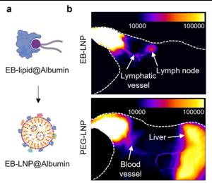 EBLNP comparison to PEGLNP