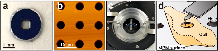 Figure 1.