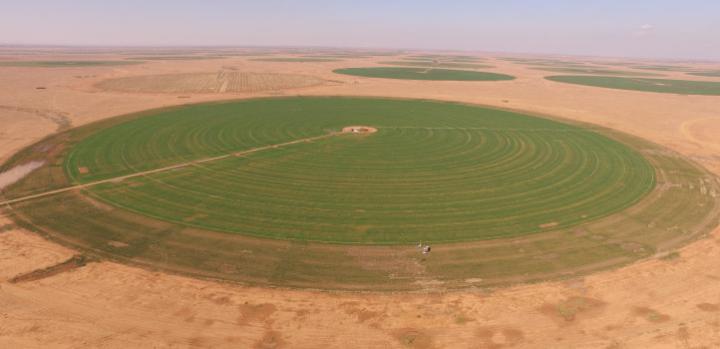 Arid agriculture