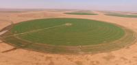 Arid agriculture