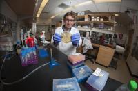 Associate Professor Sam Brown, Bacterial Virulence and Evolution