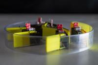 Smarticles Interacting