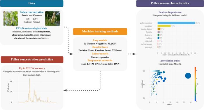 Comparison of machine learning methods in forecasting and characterizing the birch and grass pollen season