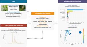 Comparison of machine learning methods in forecasting and characterizing the birch and grass pollen season