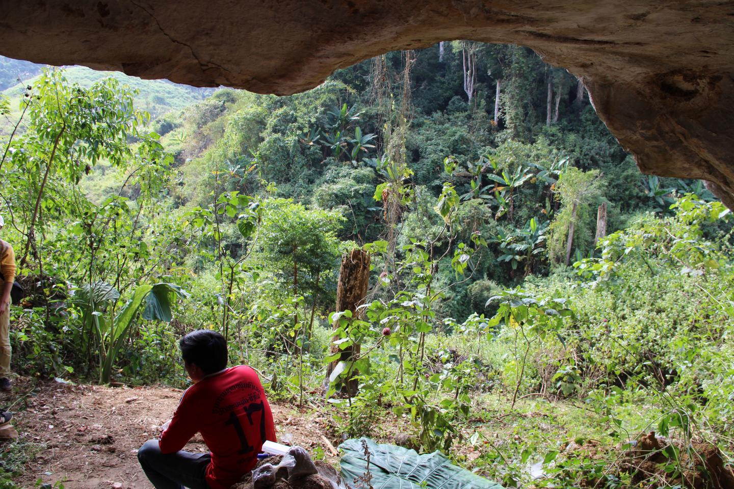 The Cliff-Side Cave Entry of Tam Ham Marklot Cave