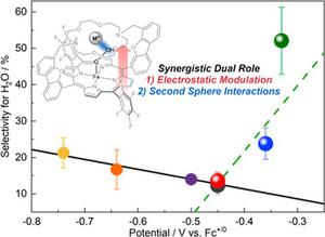 KAIST Develops New Catalyst Design Technology to Improve Battery and Hydrogen Fuel Cell Performance​