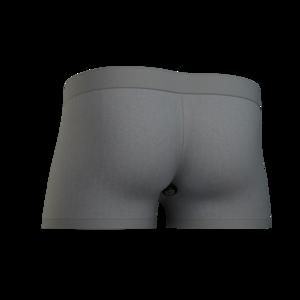 Smart Underwear prototype
