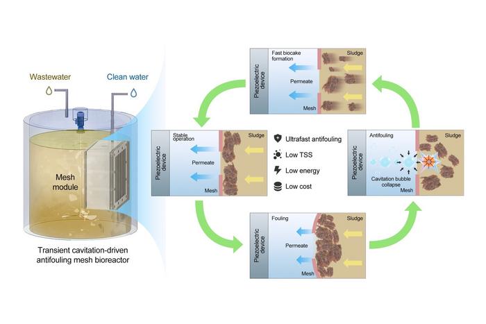 Schematic of transient cavitation-driven biofouling control using piezoelectric device.