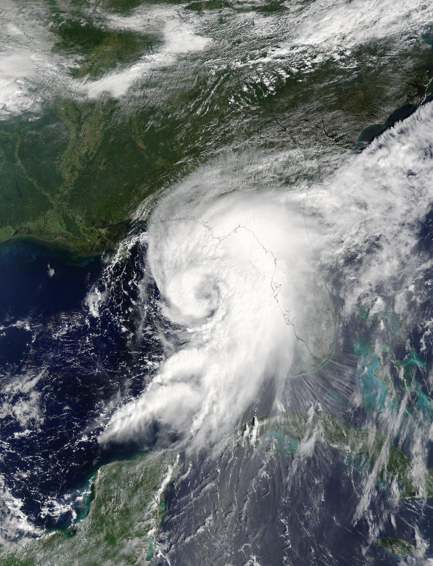 Terra Image of Hermine