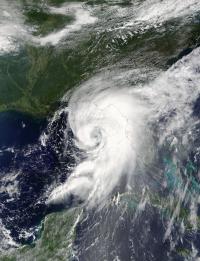 Terra Image of Hermine