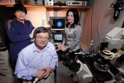 Studying T Cells (1 of 2)