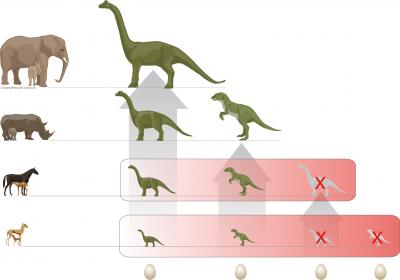 Why There Were No Small Dinosaurs