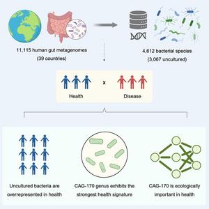 ‘Hidden’ bugs appear to play a central role in keeping us healthy