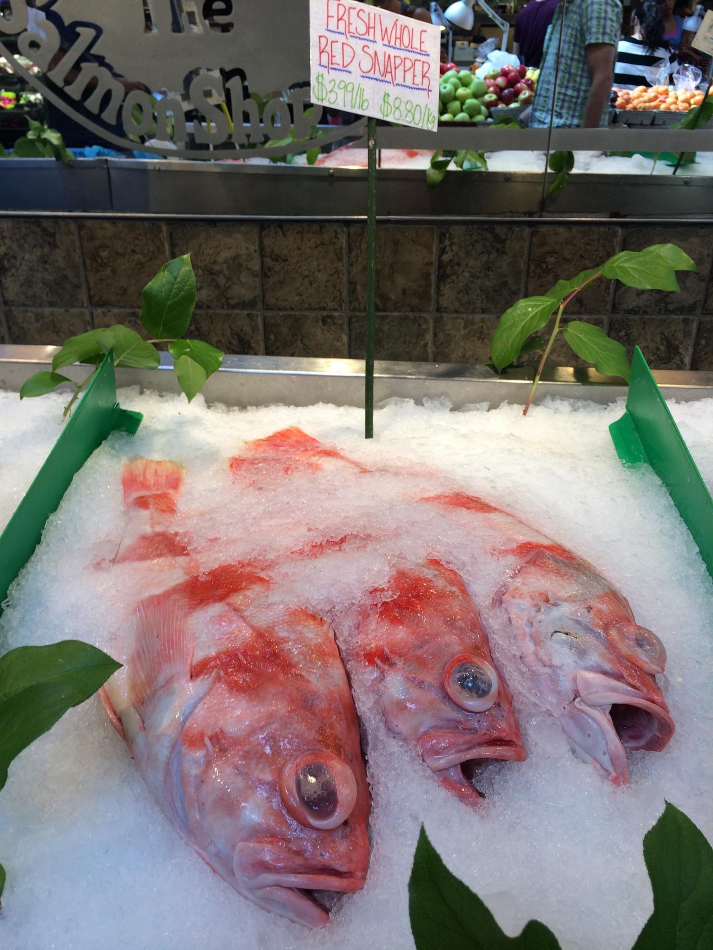 Red Snapper Label