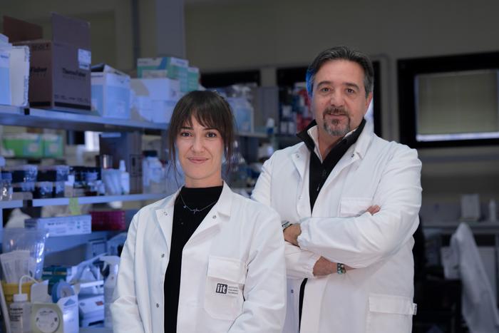 A microRNA cocktail to weaken brain tumors