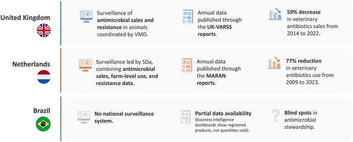 Global Disparities in Veterinary Antimicrobial Monitoring: A Tale of Two Systems and One Gap