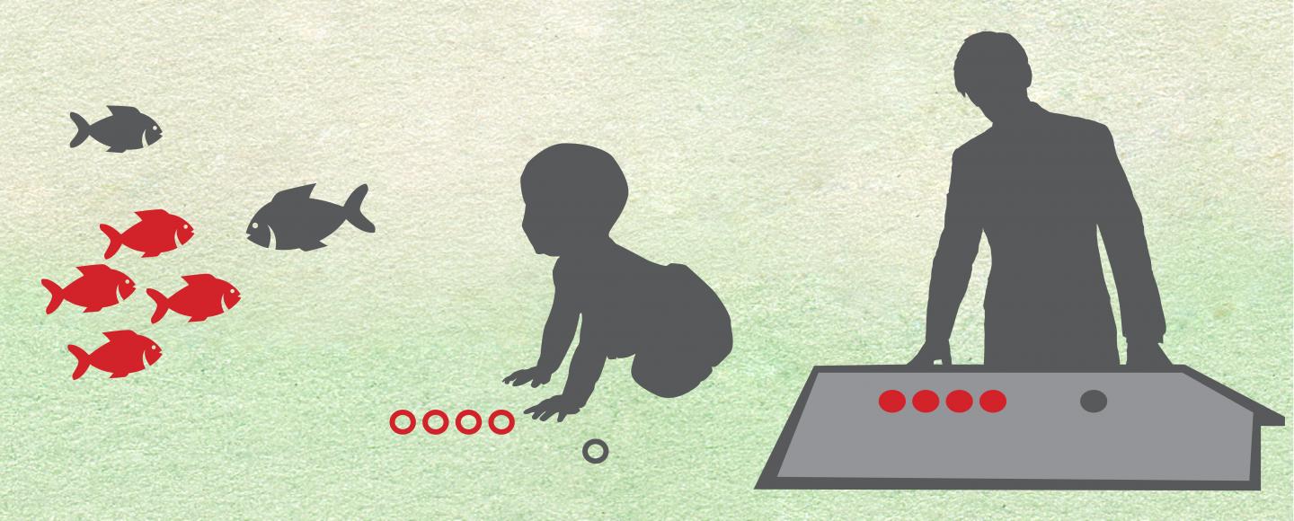 Adult Subcortex Processes Numbers with the Same Skill As Infants, Other ...