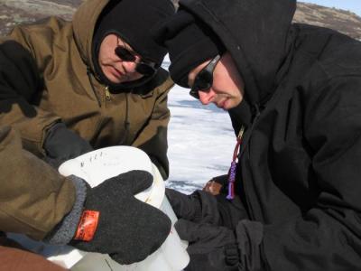 Clues to the Greenland Norse