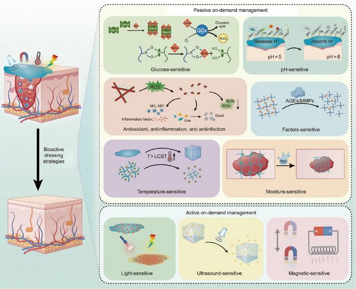 Schematic illustration of the various microenvironment-sensitive bioactive dressing strategies developed for DW management