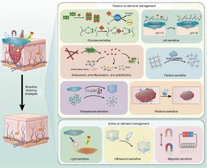 Schematic illustration of the various microenvironment-sensitive bioactive dressing strategies developed for DW management