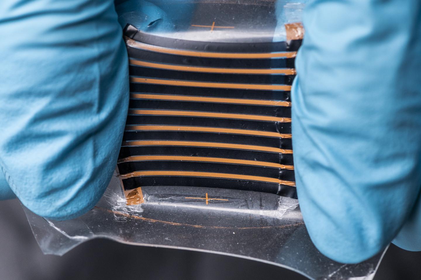 Elastic-Conducting-Polymer-Composites