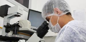 er Latin American research indicates a lower prevalence of a type of head and neck cancer