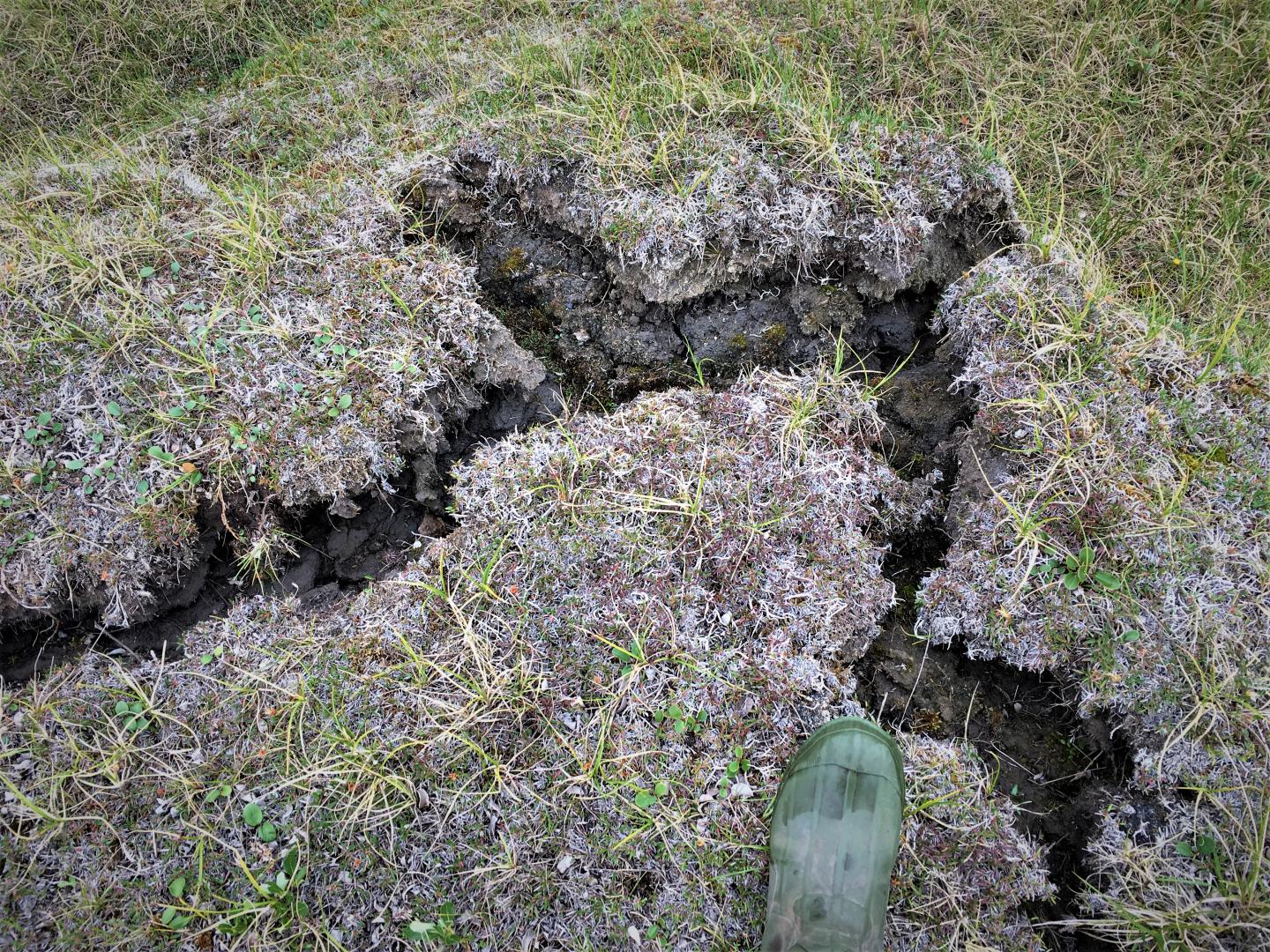 Liljedahl Cracks Due to Degradingicewedges Prudhoebay