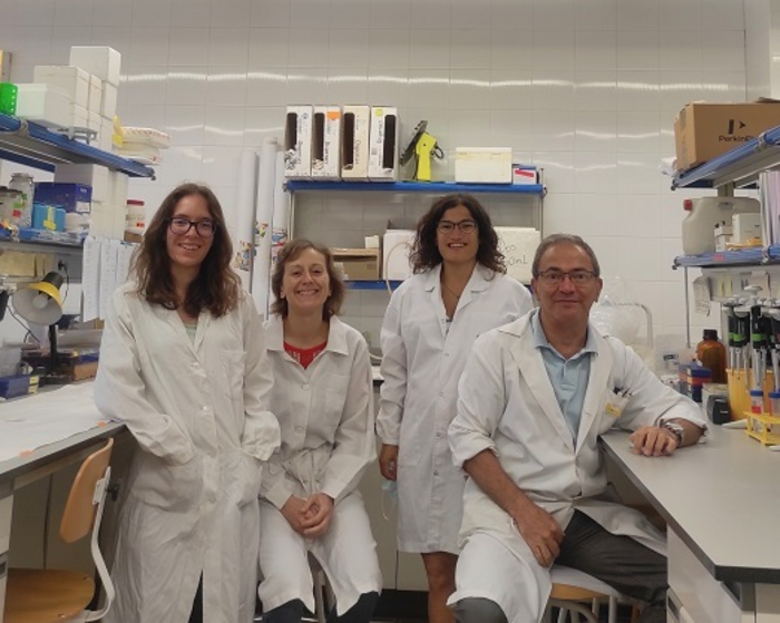 EQUIPO INVESTIGADOR UB