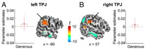 PolyU research reveals neurocognitive correlates of testosterone in young men that shape generosity and self-worth