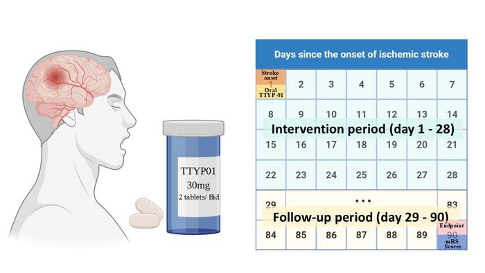 Trial Profile of ERASE-STROKE