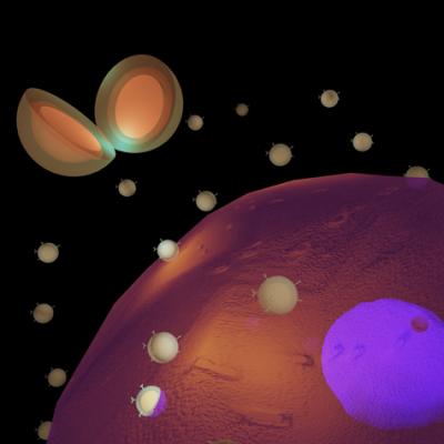 Tiny Probes Called BRIGHTS