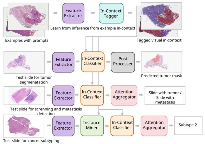 Multiple pathology diagnostic tasks