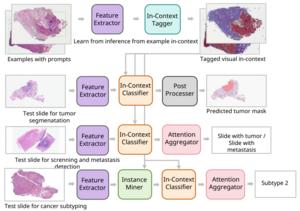Multiple pathology diagnostic tasks