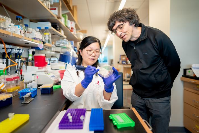 Study uncovers how cells identify and silence unwanted jumping genes