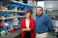 Jennifer Cochran and Amato Giaccia, Stanford School of Engineering