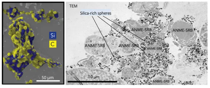 Scientists Confirm that Methane-Processing Microbes Produce a Fossil Record