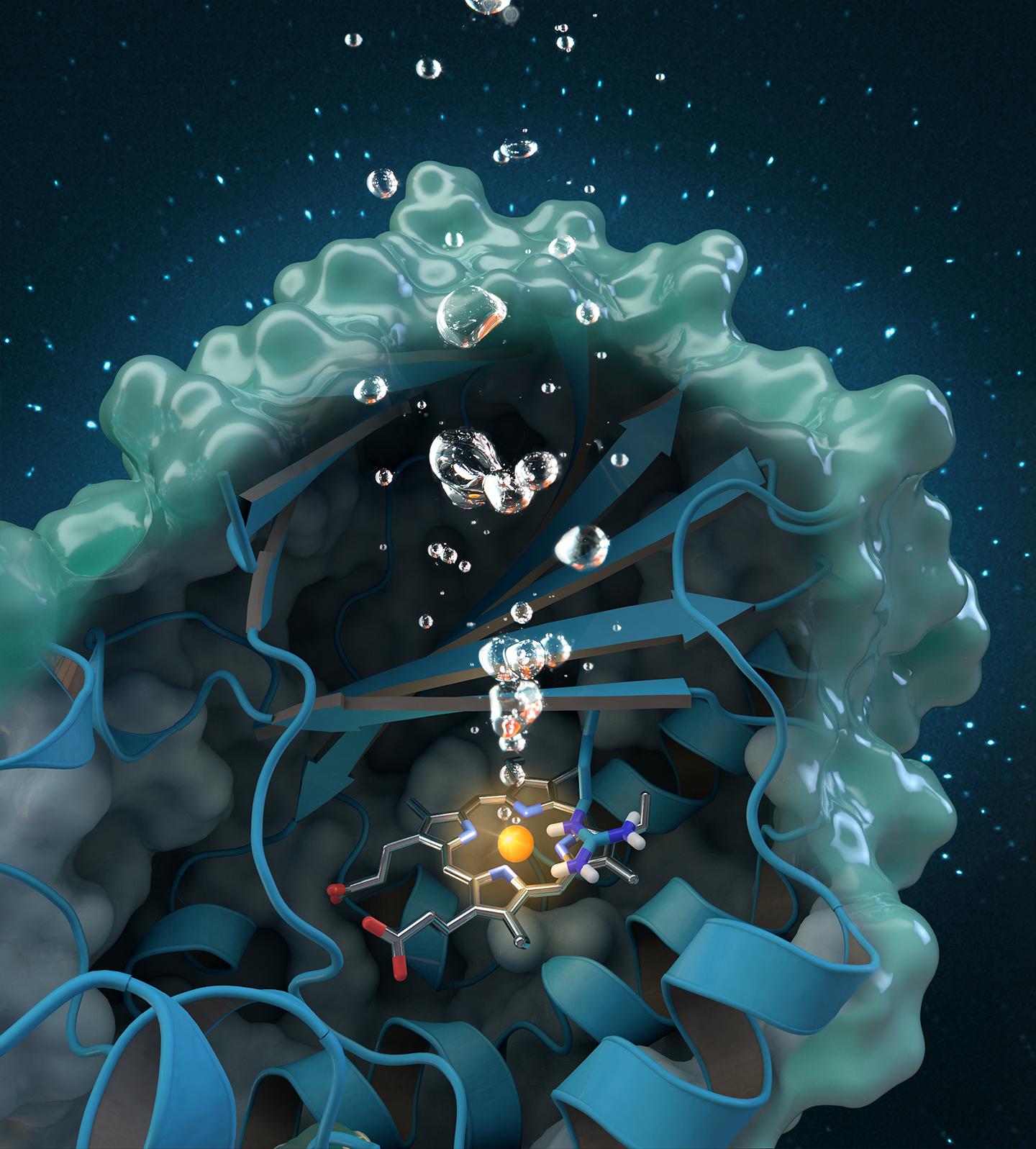 Chlorite Dismutase Highlight