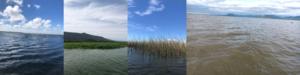 Environmental heterogeneity of South America's unique coastal lake systems