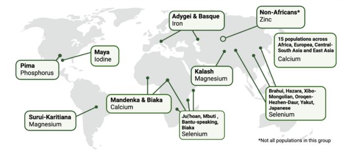 Populations with genes related to micronutrient metabolism