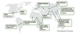 Populations with genes related to micronutrient metabolism