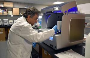 Hajibabaei lab