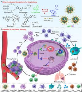 Schematic of the Cu²⁺-Coordinated Nanoplatform (CuN) and Its Antitumor Mechanism