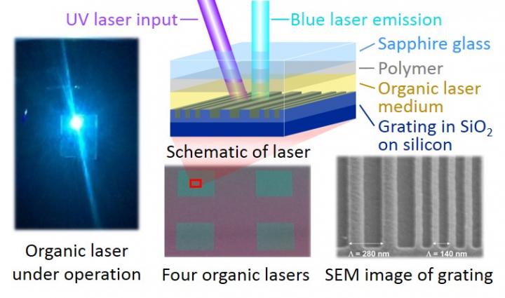 Organic Lasers