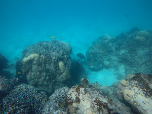 Example of one of the study sites