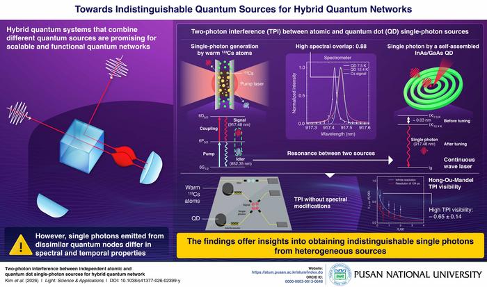Proposed hybrid quantum network